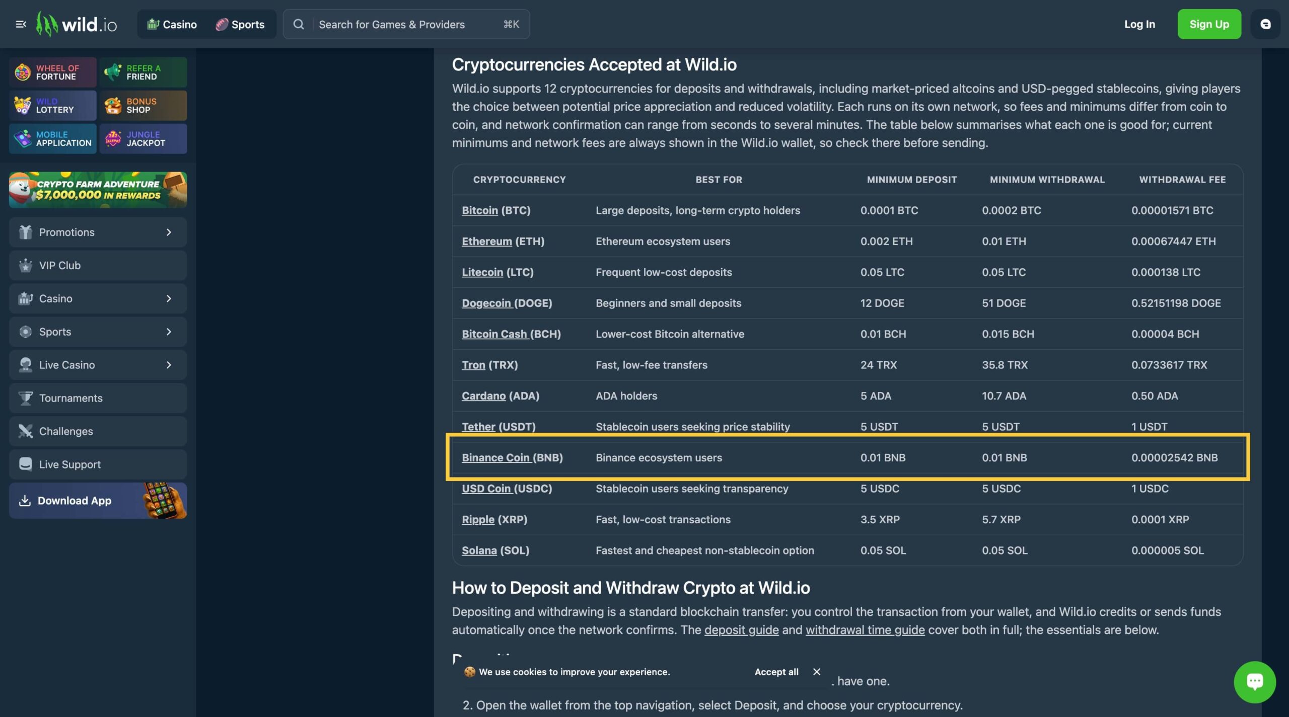 Wild.io Casino cashier showing BNB deposit option